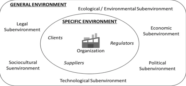 Figure 1 – Division of the Organizational Environment: Specific and General