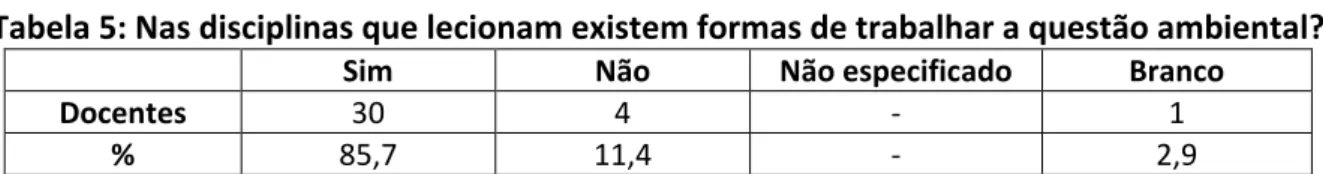 Tabela 5: Nas disciplinas que lecionam existem formas de trabalhar a questão ambiental? 