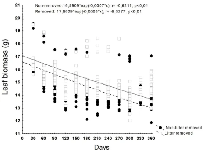 Figure 4. Exponential regression of leaf biomass decay (g) during one year in non- non-litter removed and in a Eucalypt stand at Água Limpa Farm, Distrito Federal