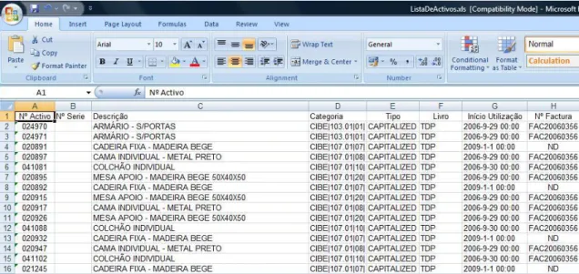 Ilustração 13 - Exemplo da lista de activos do ficheiro Excel 