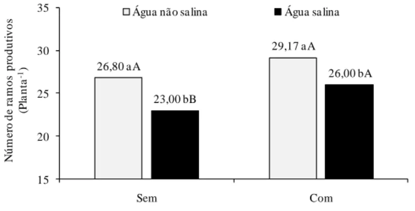 Figura 6 - Número de ramos produtivos do maracujazeiro amarelo aos 180 dias de idade  na interação salinidade da água x biofertilizante bovino (DMS = 2,83)