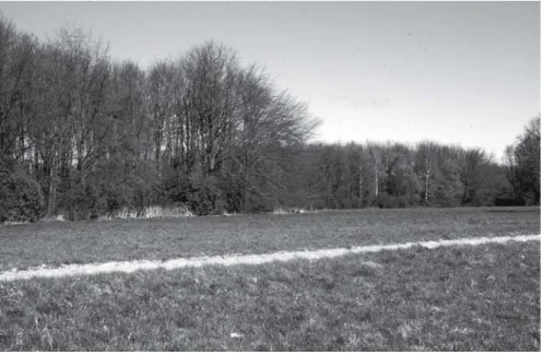 Fig. 6.8. When visiting the Amsterdamse Bos (city forest of Amsterdam) it is possible to shut out most of the visible signs of the surrounding urbanized landscape