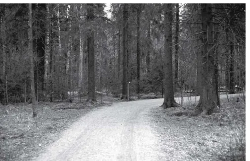 Fig. 6.2. Helsinki city forest (Central Park) is mainly a forest of native trees, spruce, pine and birch