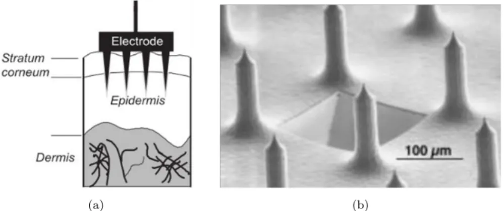 Figure 1.8: Spiked electrodes. (a) Representative scheme of the spiked electrodes on the skin [22]