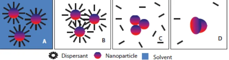Figure 2.2: Sintering process of nanoparticles silver ink. (A) Nanoparticles dispersed in solvent; (B) solvent is evaporated due to heating; (C) Evaporation of dispersant and