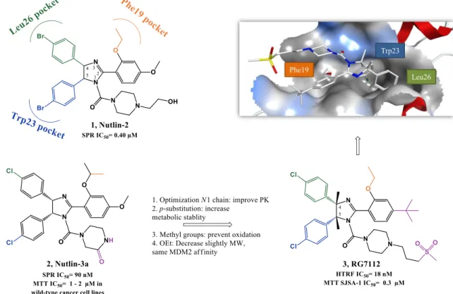 Figure 1.4. Nutlins optimization to RG7112. Right upper quadrant: crystal structure of compound 3 bound to  MDM2 (PDB 4IPF)