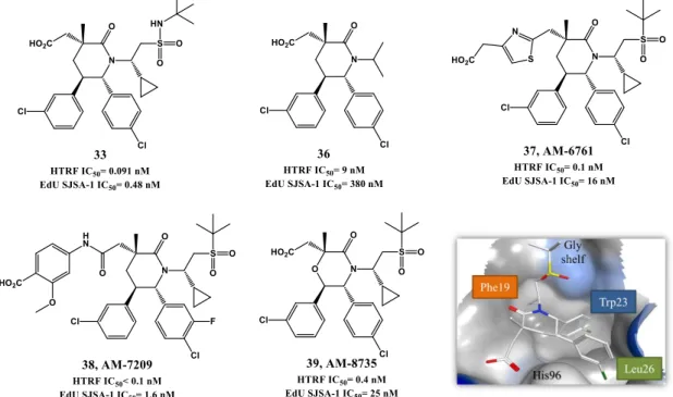 Figure  1.11.  Piperidinone  and  morpholinone  derivatives.  Right  lower  quadrant:  crystal  structure  of  compound 34  bound  to  MDM2  (PDB  4OAS)