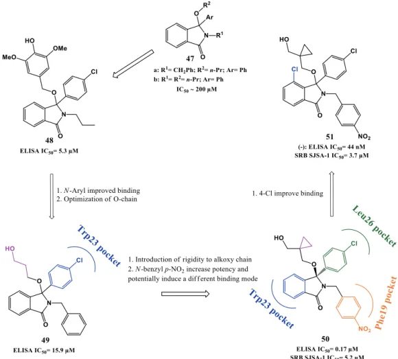 Figure 1.14. Isoindolinone scaffold optimization. Representations of binding modes were determined from  chemical shift data and molecular docking [115, 116]