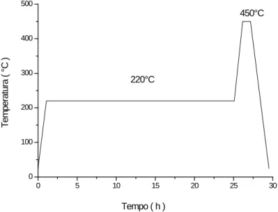 Figura 10 – Evolução da temperatura em função do tempo do ciclo de pirólise da KF. 
