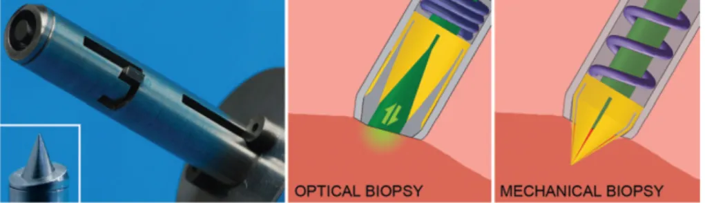 Figure 3.1: Representation of the biopsy harvester inspired by the Aristotle’s lantern and its working principle combining optical and mechanical biopsy (Jelínek et al., 2014).