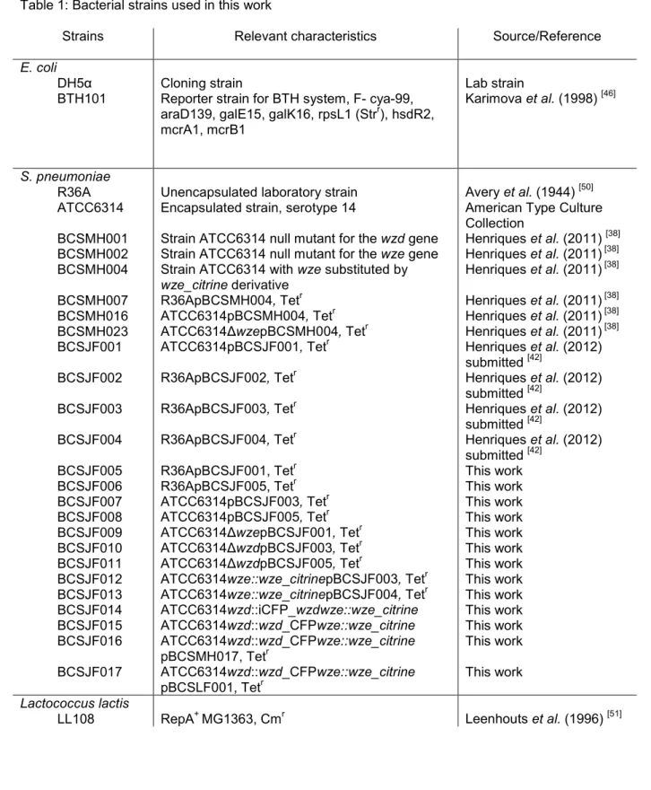 Table 1: Bacterial strains used in this work 