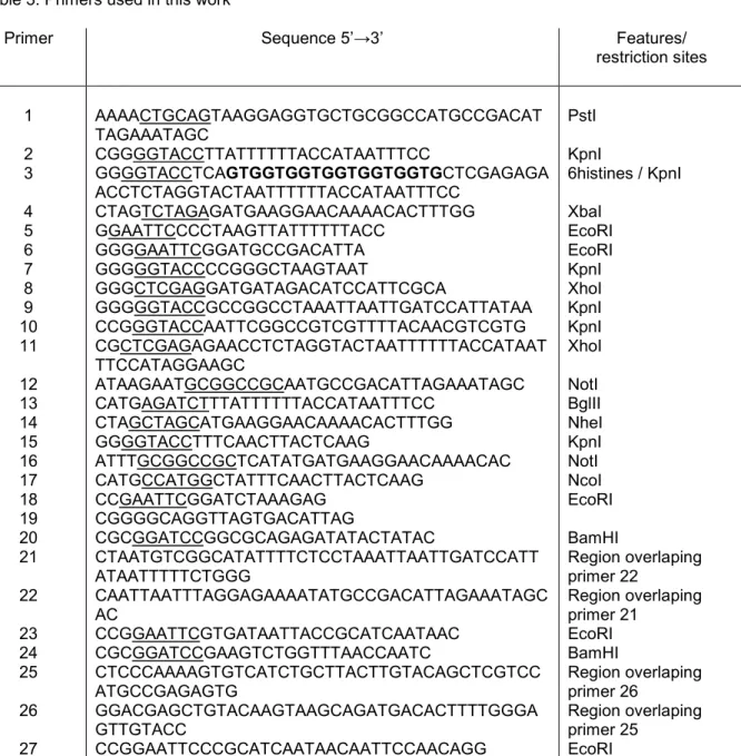 Table 3: Primers used in this work 