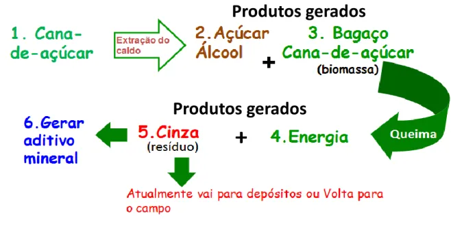 Figura 2 - Processo de geração do resíduo da biomassa da cana-de-açúcar com proposta de  utilização