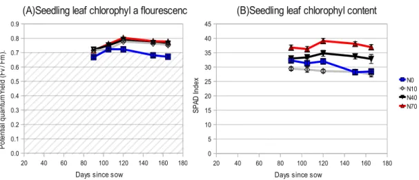 Figure 12: (A) Seedling leaf quantum yield assessed through chlorophyll a fluorescence