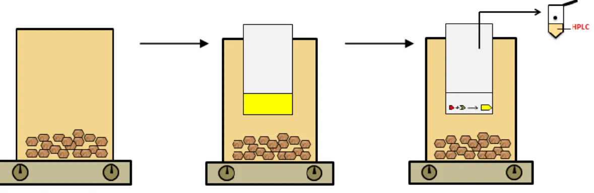 Figura 4.1 - Representação esquemática do processo de extração para amostras sólidas usado na GDME