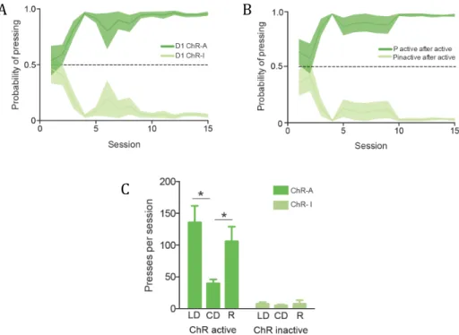 Figure 2.4: Self-stimulation of striatonigral DLS neurons supports the development of  action-specific reinforcement