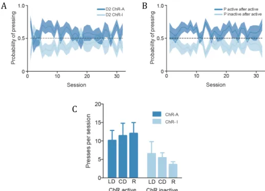 Figure 2.5: Self-stimulation of striatopallidal DLS neurons supports the development  of a stimulus-response habit that generalizes to similar actions