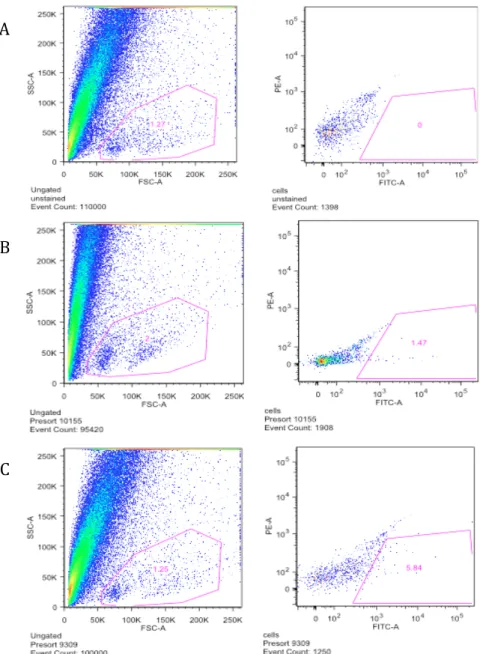 Figure 2.7: FACS extraction of YFP +  cells. A) WT uninfected control sample. B) ChR  D 1 -Cre mouse