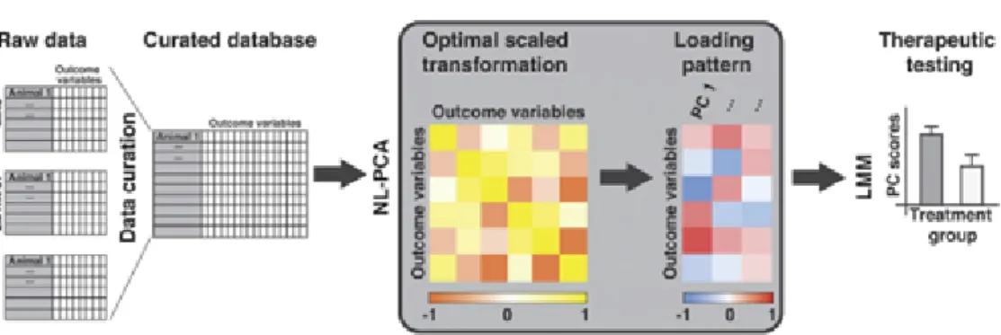 Figure 2.10: An example of the process in the data-driven application ( Haefeli et al [13]
