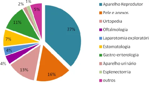 Gráfico 2 Frequência relativa das cirurgias assistidas em cada especialidade cirúrgica