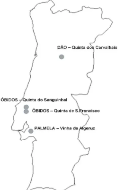 Figure 1. Vineyards location 