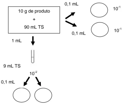 Figura  11.  Procedimento  utilizado  para  contagem  de  Listeria, Staphylococcus aureus e Escherichia coli