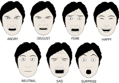 Figure 1- Basic emotions as identified by Ekman and Friesen [13]. 