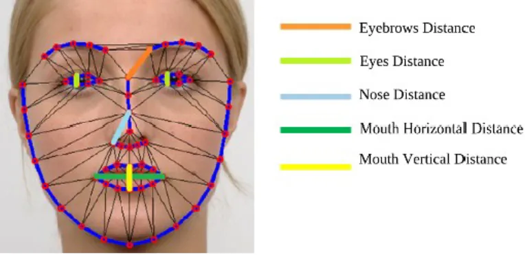 Figure 8 - Constrained Facial Features: Measured distances between selected landmarks generated by  the face tracker