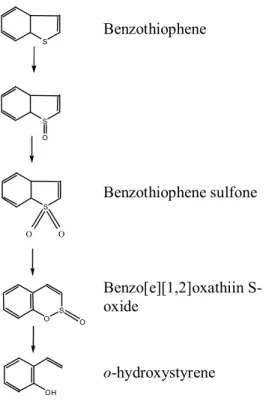 Fig. 2. The postulated pathway of benzothiophene desulfurization by Paenibacillus sp. 