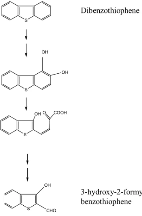 Fig. 3. Kodama pathway – Dibenzothiophene is partially degraded by attack of a  specific aromatic dioxygenase