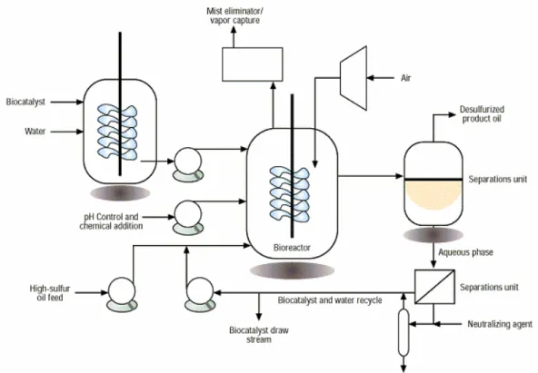 Fig. 6. A conceptual process flow diagram for the biodesulfurization process  (adapted from Monticello, 1998)