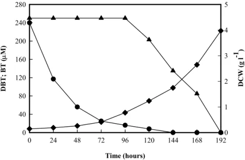Fig. 2. Time-course of desulfurization of DBT and BT by G. alkanivorans strain 1B. Both  hydrocarbons were added simultaneously to the culture medium in a concentration of 250 µM  each