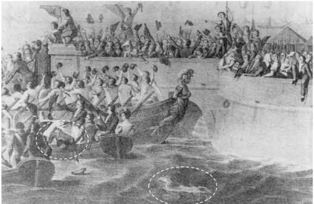 Figura 7 – Imagem ilustrativa  da participação do Cão de Água  a bordo dos navios (fonte  http://www.pedradaanixa.com/historia.htm) 