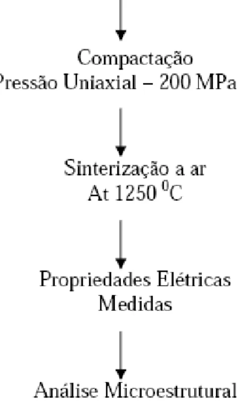 Figura 1 – Procedimento Experimental. 
