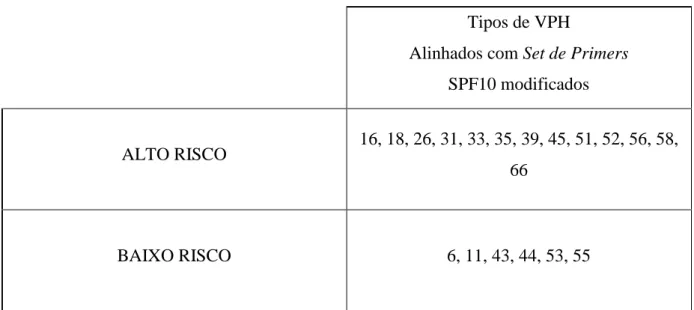 Tabela 3 – Caracterização dos tipos de VPH de alto e baixo risco possíveis de serem detectados pelo  ensaio de PCR em Tempo Real implementado, segundo a classificação proposta por  Munoz (Munoz  2003)