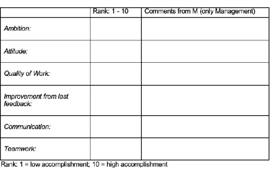 Table 4: 180-degree Feedback Template used by the Biffar Ltd. for peer evaluation (translated into English) 