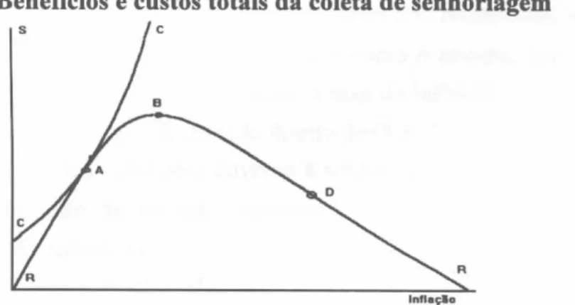 Gráfico  11