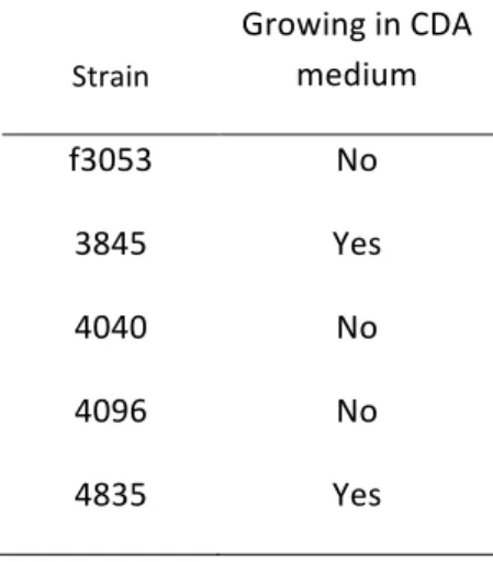 Table  1.Selection  of  producing  strains  able  to  grow  in  CDA  medium.  