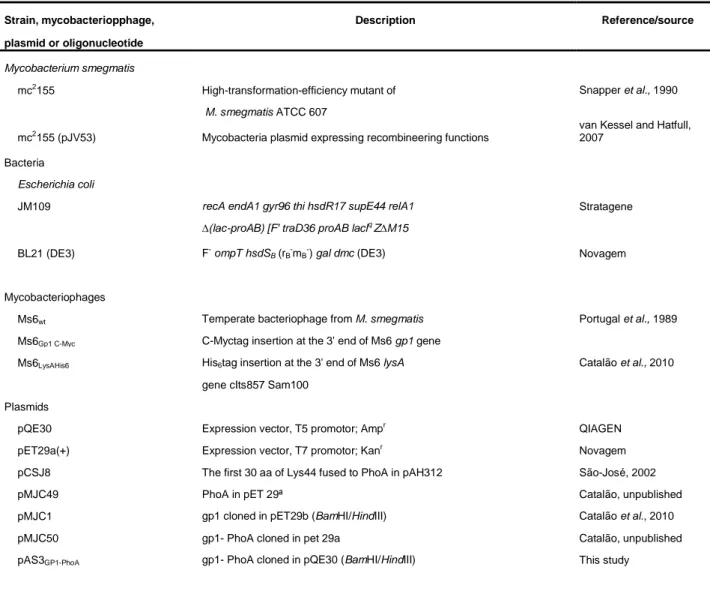 Table 1. Strains, mycobacteriophages, plasmids and oligonucleotides used in this study
