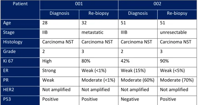 Table 4 – Patients’ characteristics at diagnosis and at re-biopsy 