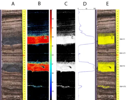 Fig 6 shows the results of tephra detection for a section of a core from the same lake as the one used for training the SOM, side by side with a referenced color photograph of the core