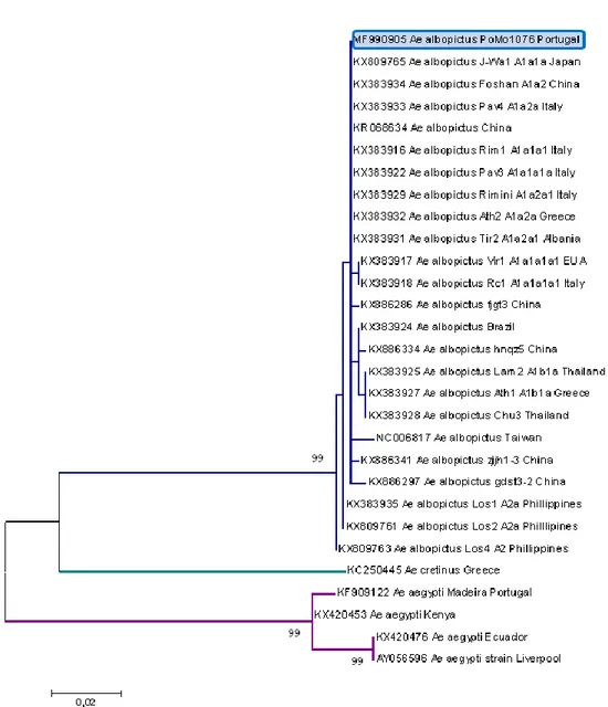 Figure 2.  Phylogenetic  analysis  of  Ae.  albopictus sequences  using partial COI sequence  region