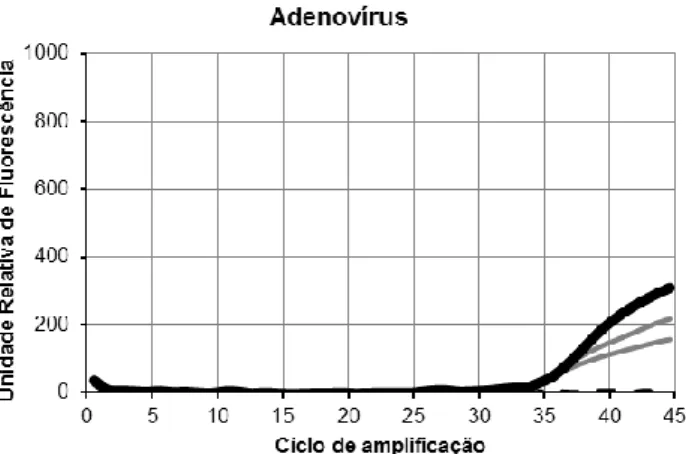 Figura 3: Exemplo de curvas de amplificação de experiências de otimização das condições para a deteção do  controlo positivo de HAdVF41 da Vircell