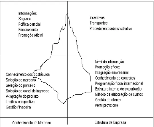 Figura 1: Perspectiva do ICEBERG no processo de exportação  Fonte: Adaptado, Minervini, 2001 