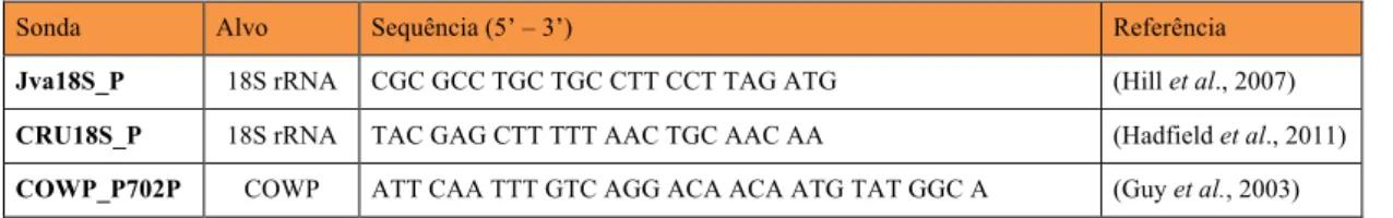 Tabela 2.3 -   Conjunto de sondas utilizadas na Amplificação dos genes 18S rRNA e COWP por PCR Quantitativo em Tempo  Real