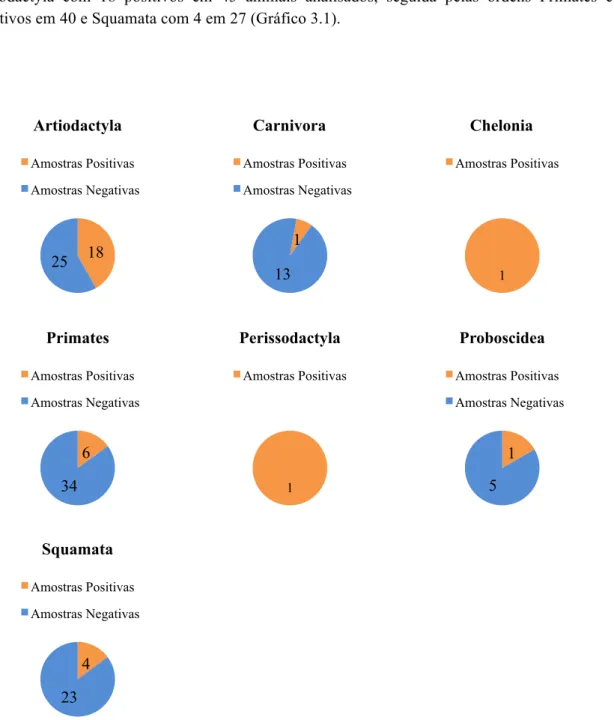 Gráfico  3.1  -  Comparação  do  número  de  animais  positivos  e  negativos  para  a  presença  de Cryptosporidium  spp