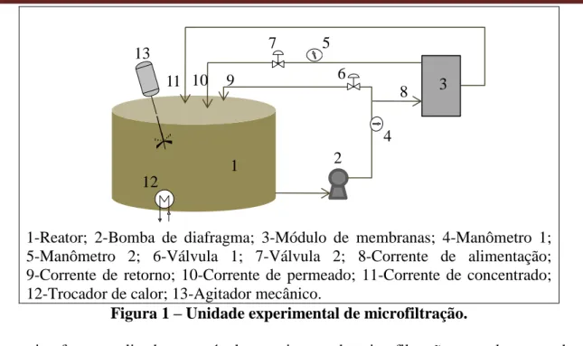 Figura 1 – Unidade experimental de microfiltração. 
