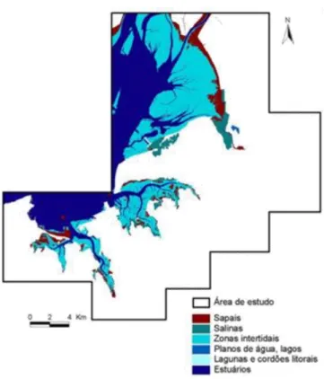 Figura 1.6. Classificação assistida da costa no Estuário do Tejo para o ano 1995 (Correia, 2003)