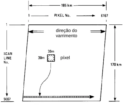 Figura 2.22. Organização das linhas de varrimento e dos píxeis numa imagem TM Landsat (adaptado de Sabins,  2000)