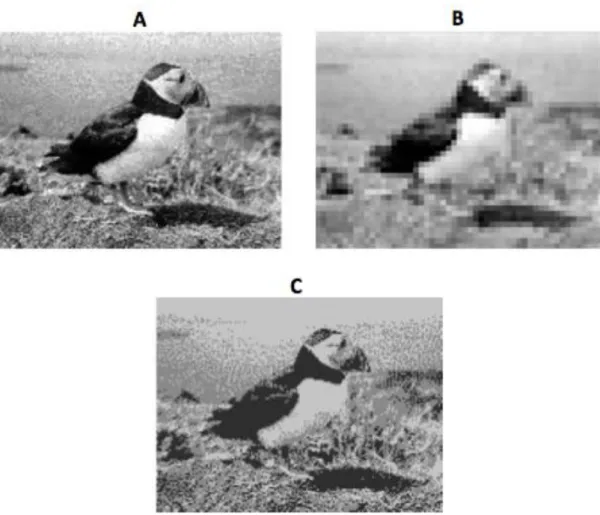 Figura 1: (A) Imagem com boa amostragem e quantização, (B) Imagem com baixa  amostragem e (C) Imagem com baixa quantização
